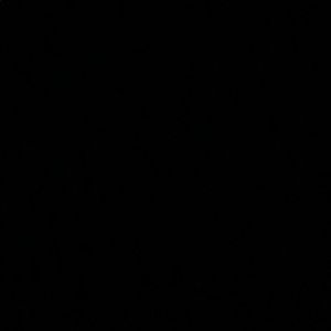 Meet your Posher, Ricky